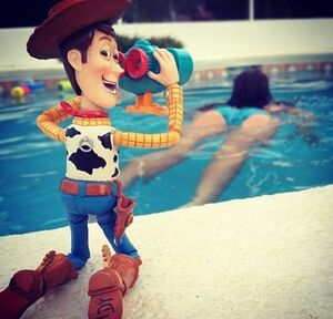 Pool Woody.jpg