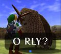 Zelda does o rly