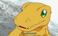 Agumon is a big tool.