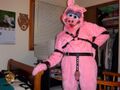 A sick furry fuck ready to assrape you in his pig suit.