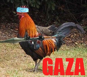 Gazacockmillitant.jpg