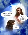 Jesus doubts the power of a dog.