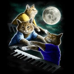 Keyboard-cats-moon.jpg