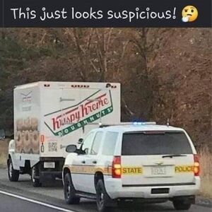 Cop pulling over donut truck.jpg