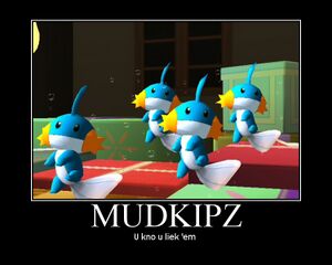 Mudkip poster.jpg