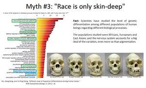 Race Is Only Skin Deep.jpg