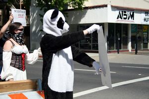 Sacramento panda.jpg