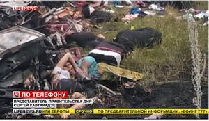 MH17 Wreckage 12.jpg