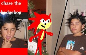 Chasethehedgehogid.JPG