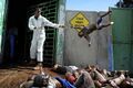 A Dead Nigger Storage facility in Haiti