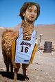 Zomg Pau is a Llama!