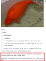 Fuck you, making fun of a fish.