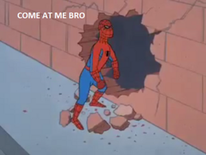 Spiderman wall bro.png