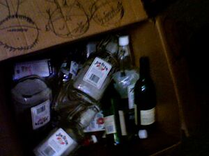 Kiwichan-liquor.jpg