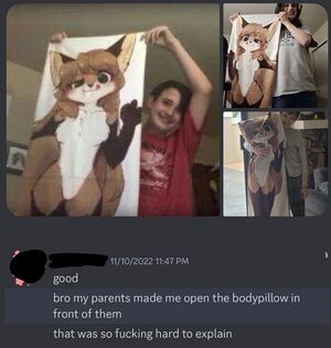 Fiddleafox bodypillow.jpg