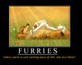 What everyone thinks about furfags.