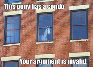 Your Argument is invalid pony.jpg