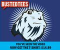 Due to massive popularity, the rodent is now a T-shirt.