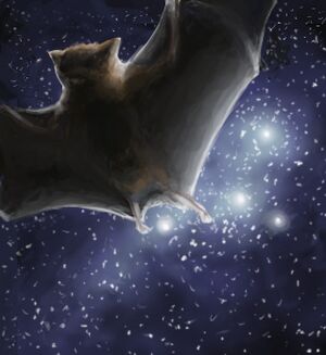 Space bat 15.jpg