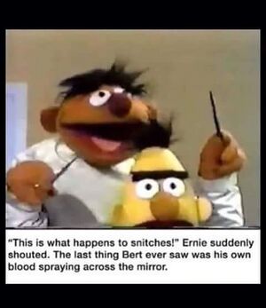 Bertstrips Snithces.jpg