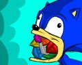 Sonic got all the Chaos Emeralds!