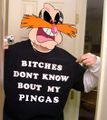 Bitches don't know bout my Pingas!