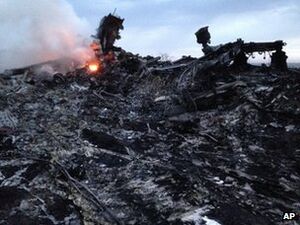 MH17 Wreckage 02.jpg