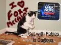 I don't like Faux News, but this is just a slop mess of sad.