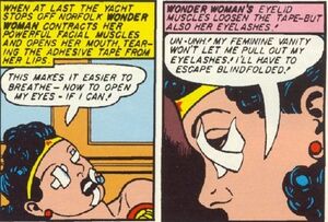 Wonder Woman Feminine Vanity.jpg