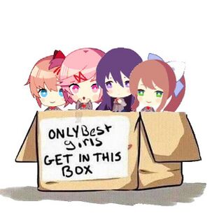 DokiDokiOnlyBestGirlsGetInThisBox.jpg