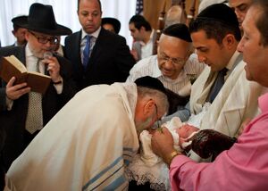 Circumcision Pedo-Jew Dick Sucking 1.jpg