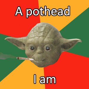 Ganja yoda 2.jpg