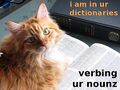 Dictionarycat version.