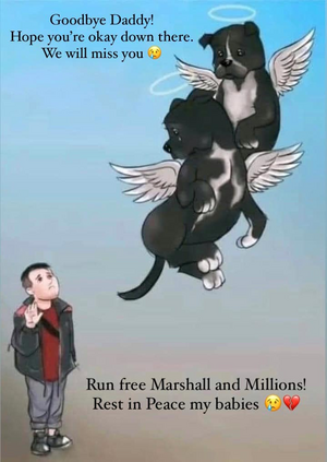 Marshall and millions in heaven.png