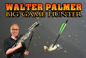 Walter Palmer BGH1.jpg