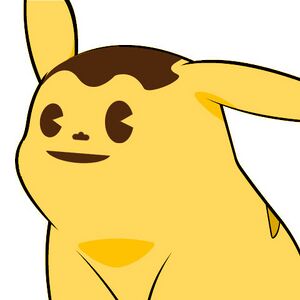 Puddichu.jpg