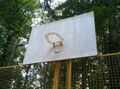 Redneck basketball