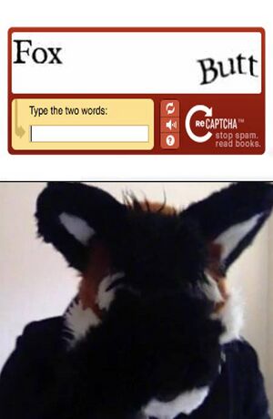 Xandercaptcha.jpg