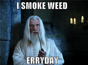 Smoke Weed Everyday Gandalf.png