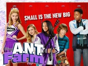 Ant farm-show.jpeg