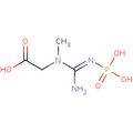 Creatine Phosphate, the chemical CP