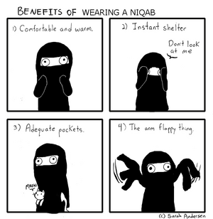 SarahAndersenNiqab.png