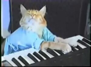 Keyboard cat.jpg