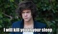 What Harry thinks of his fans