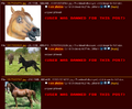 Phobos has many pictures of horses