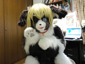 Icze4r fursuit 2.png