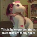 Proof that her donation to charity is a fraud to buy more pony toys.