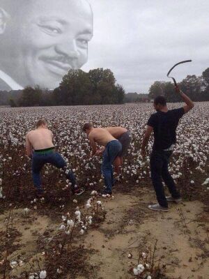 Black whipping whitec.jpg