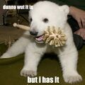 How does a polar bear know what a toilet brush is?