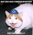 Cheeseburgers not kosher!